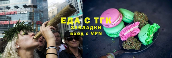 дживик Инта