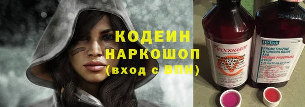 дживик Инта