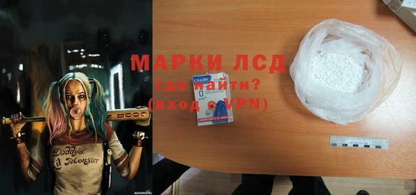 дживик Инта