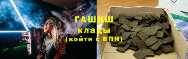 дживик Инта