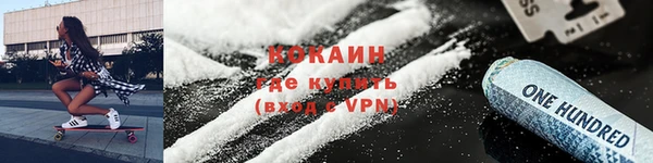 дживик Инта