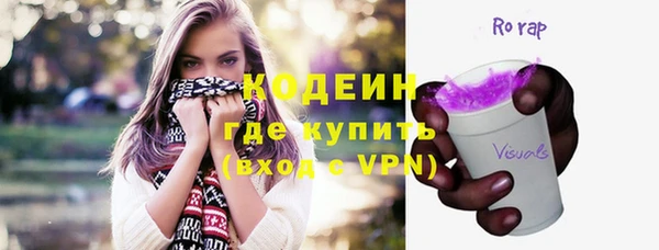 дживик Инта