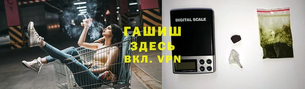 дживик Инта