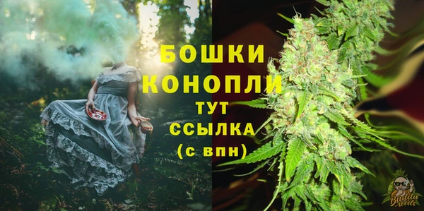ПСИЛОЦИБИНОВЫЕ ГРИБЫ Инсар