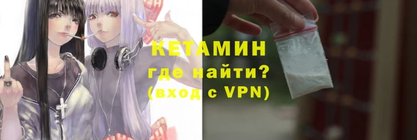 дживик Инта