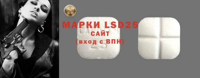 ПСИЛОЦИБИНОВЫЕ ГРИБЫ Инсар
