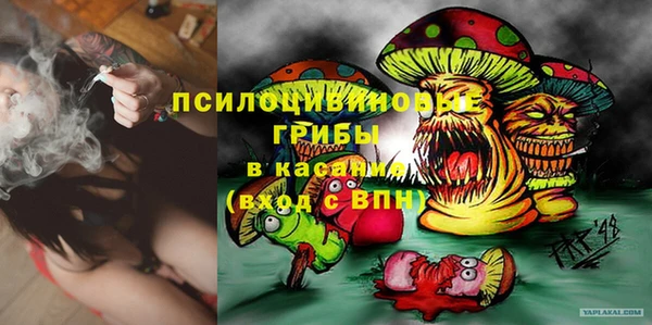 дживик Инта