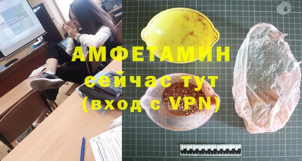 ПСИЛОЦИБИНОВЫЕ ГРИБЫ Инсар