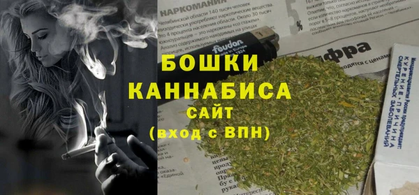 ПСИЛОЦИБИНОВЫЕ ГРИБЫ Инсар