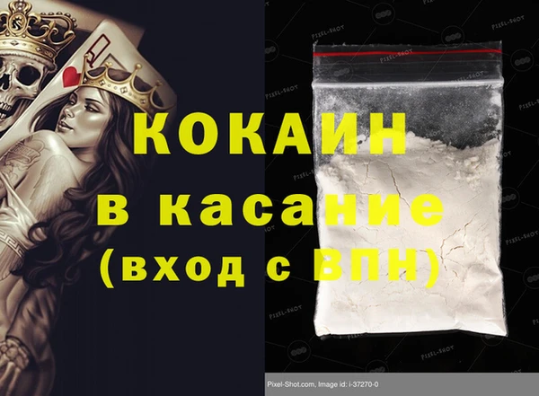 дживик Инта