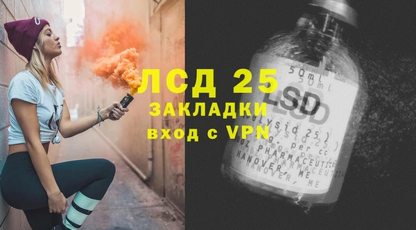 дживик Инта