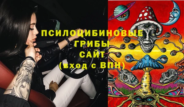 дживик Инта