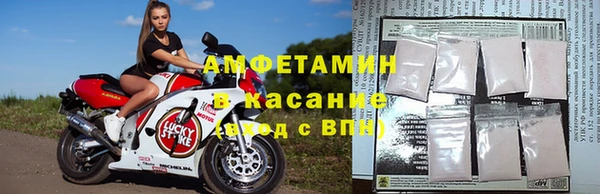 ПСИЛОЦИБИНОВЫЕ ГРИБЫ Инсар