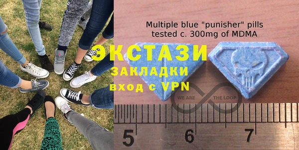 дживик Инта