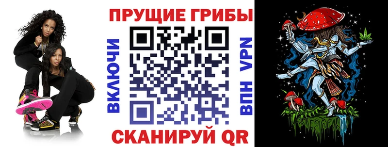 купить наркотик  Самара  Галлюциногенные грибы Psilocybine cubensis 
